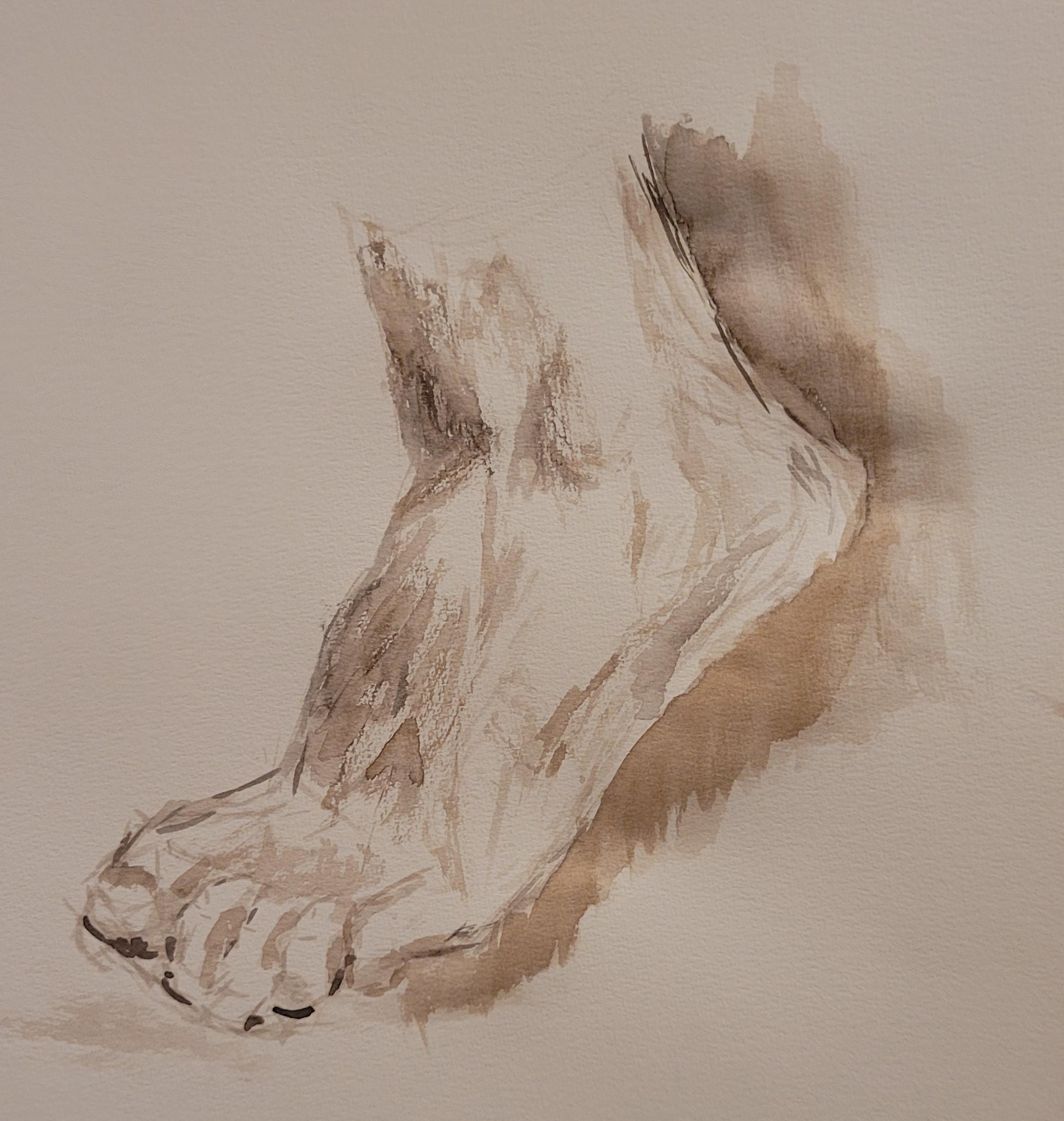 Foot